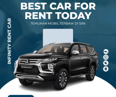 artikel infinity rent car (3)